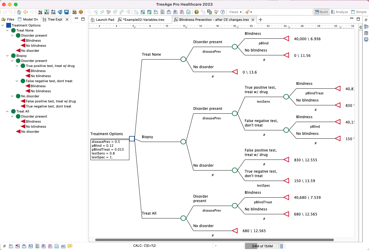 TreeAge Pro Workspace, Tree Explorer and Model Overview