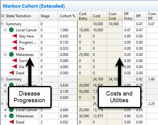 Markov Cohort Report